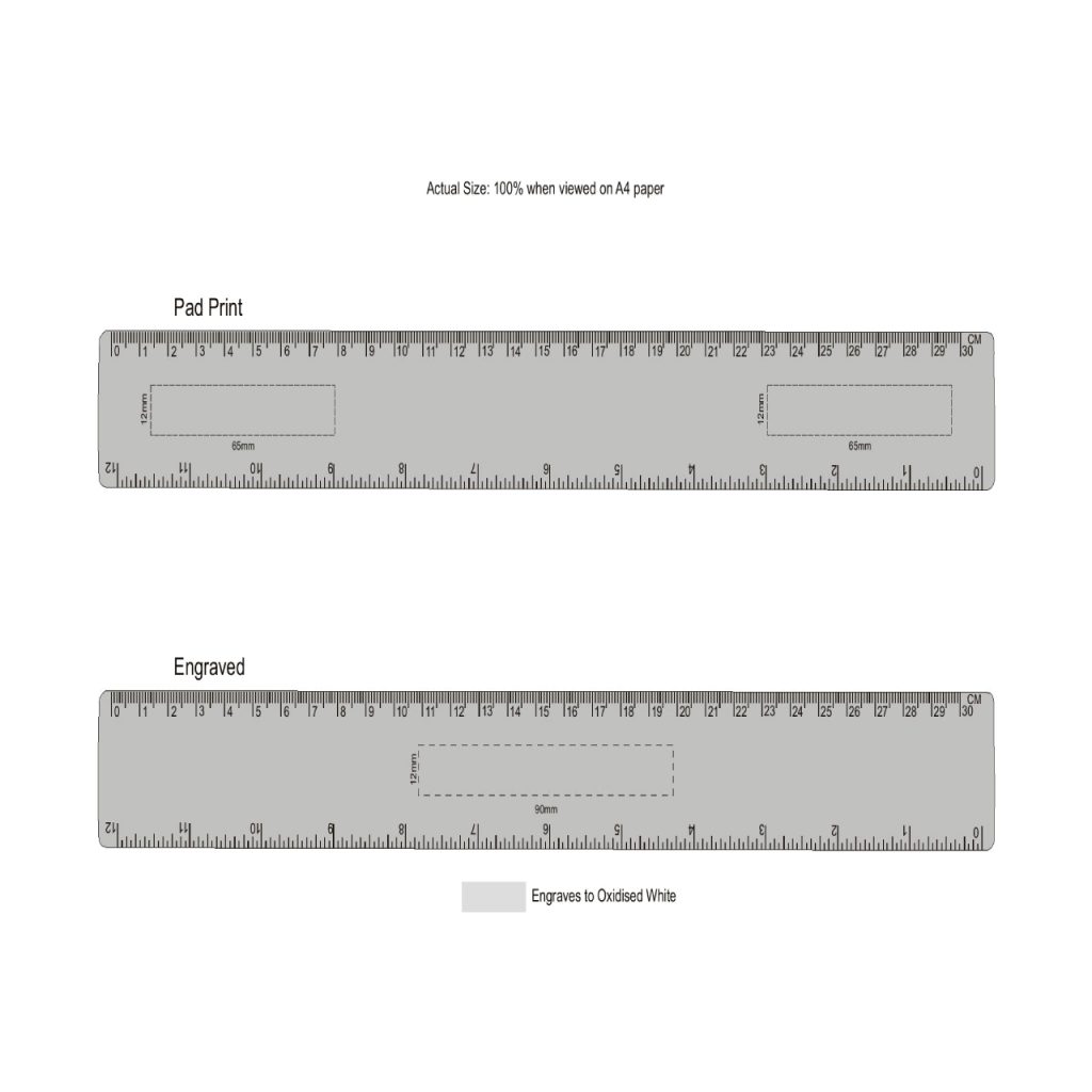 Standard Metallic Ruler
